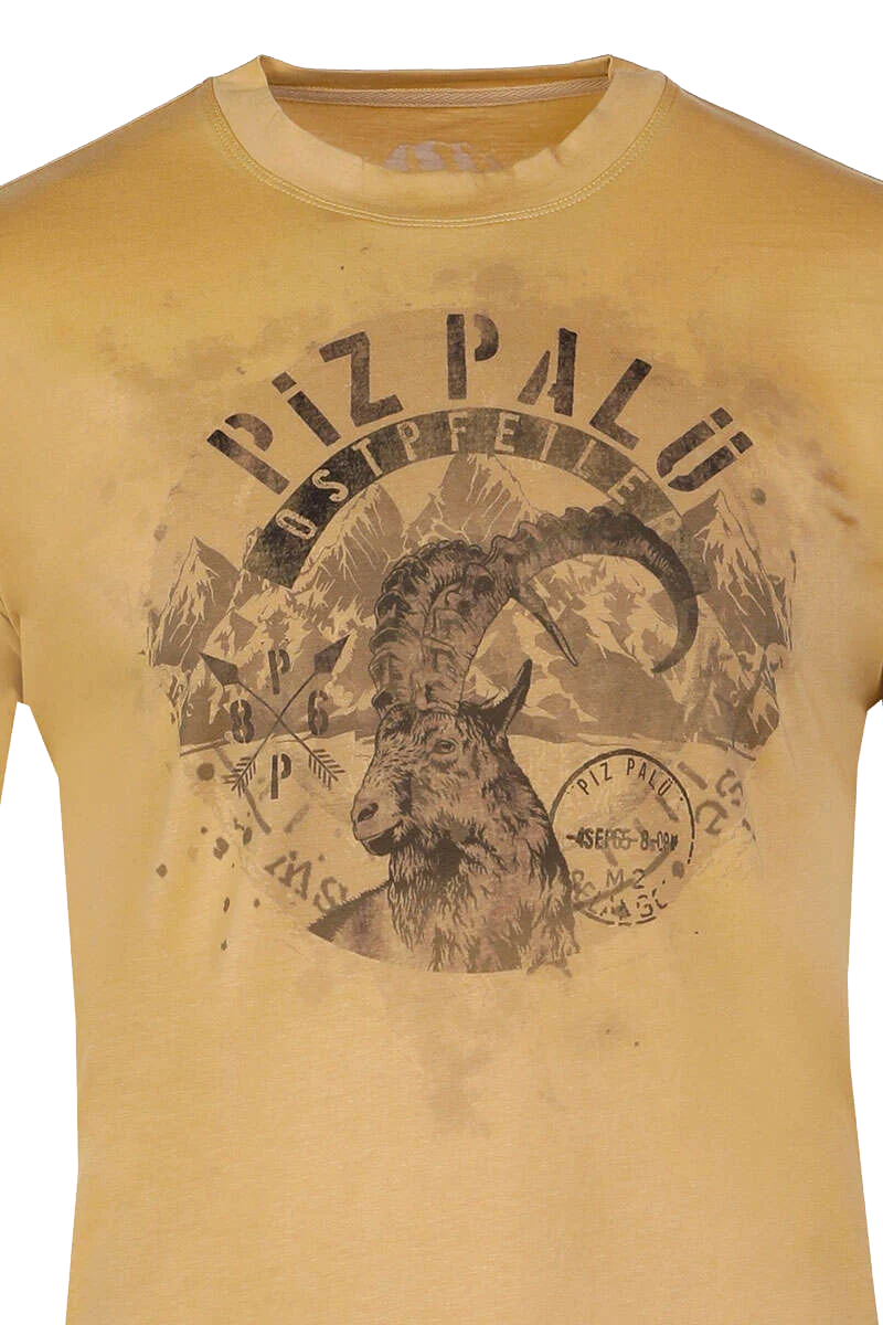 Herren T-Shirt 'Ostpfeiler'