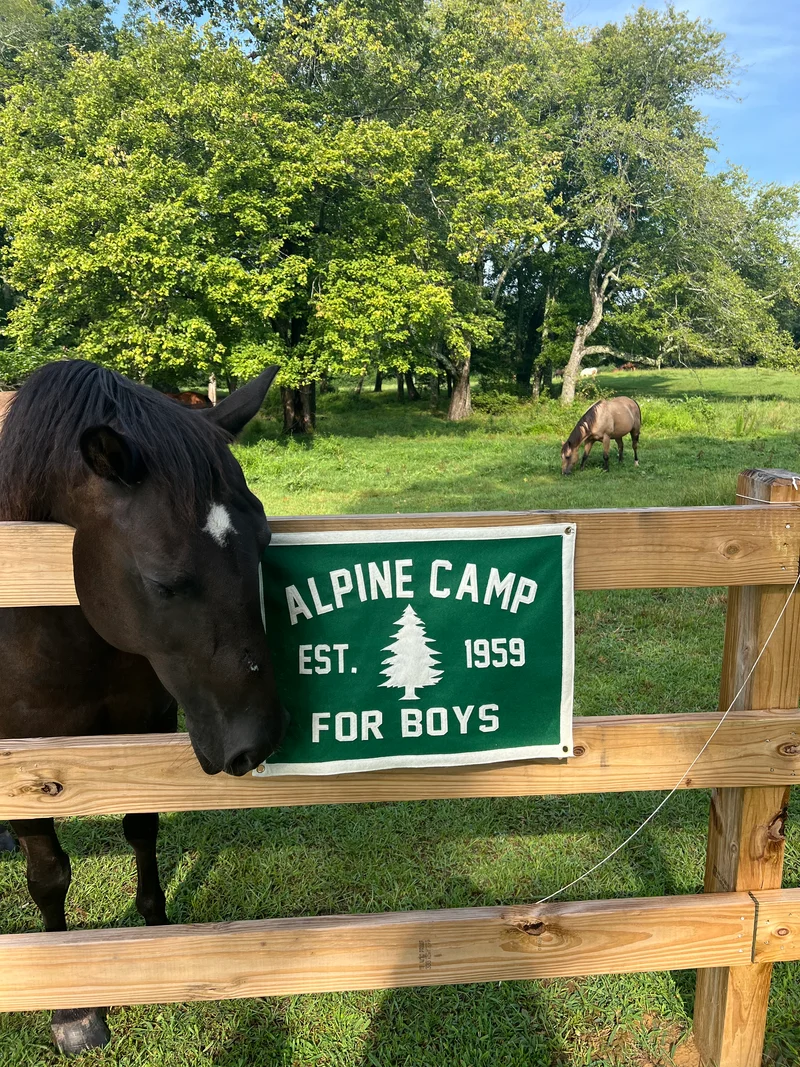 Alpine Felt Banner