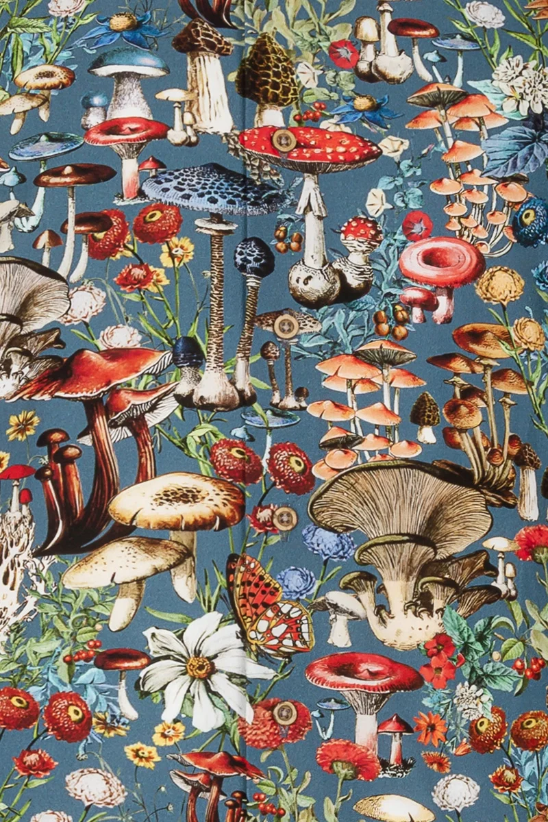 Mushroom Inspired Adolphe Millot Long Sleeve Men's Shirt