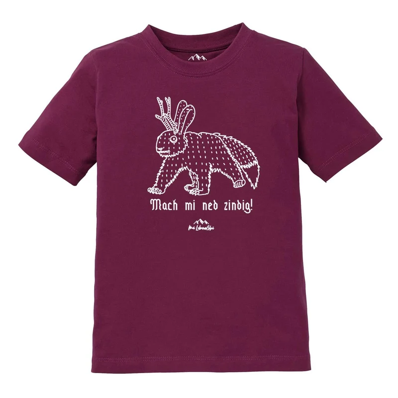 Kinder T-Shirt Wolpertinger "Mach mi ned zindig"