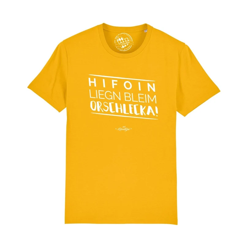 Herren T-Shirt "Hifoin liegn bleim..."