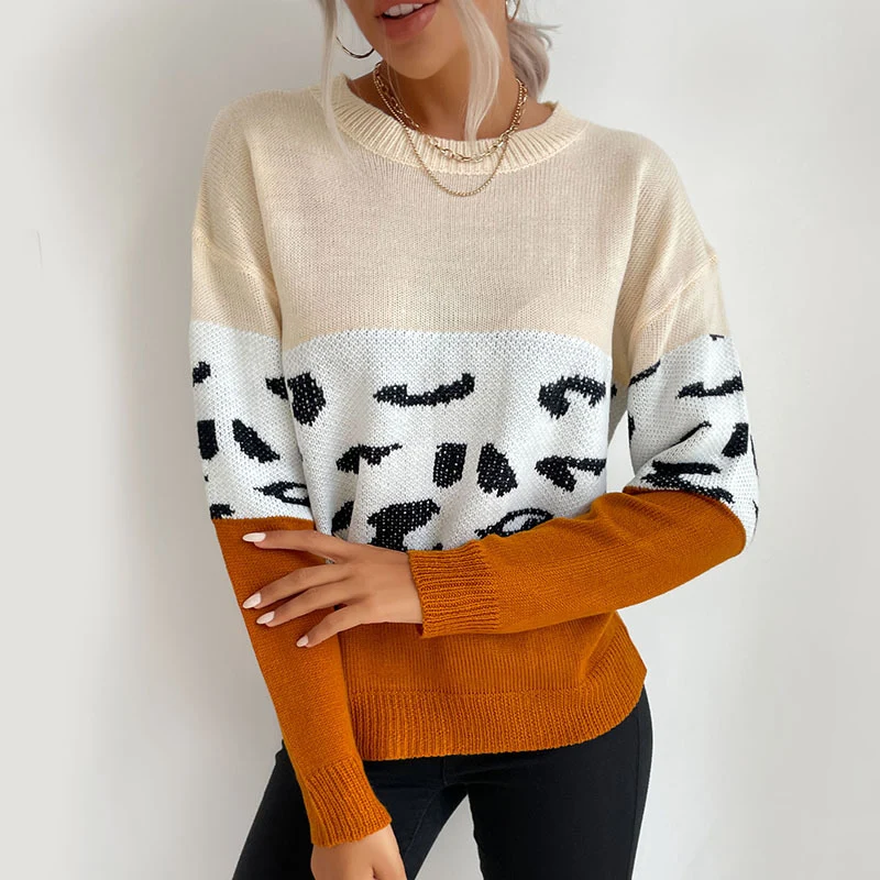 Damen Boxy-Strickpullover im Colorblock-Leopardmix mit Rundhals und gerippten Ärmeln Nord Taschen