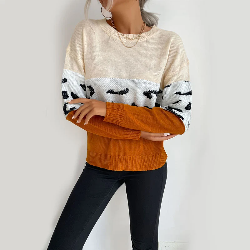 Damen Boxy-Strickpullover im Colorblock-Leopardmix mit Rundhals und gerippten Ärmeln Nord Taschen