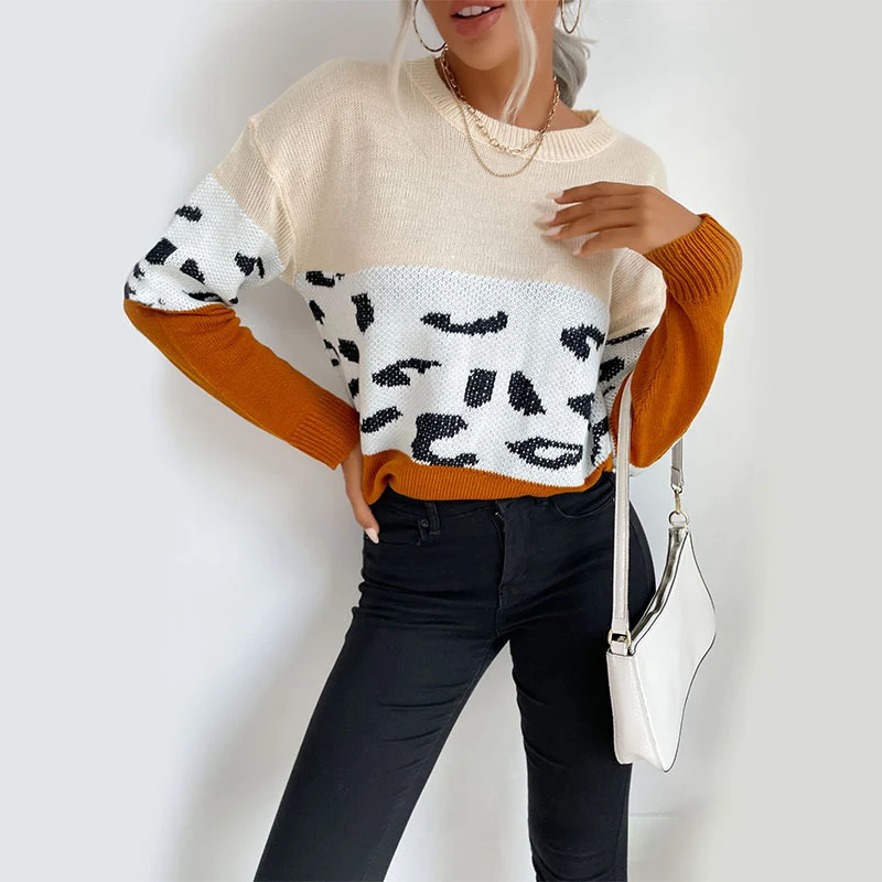 Damen Boxy-Strickpullover im Colorblock-Leopardmix mit Rundhals und gerippten Ärmeln Nord Taschen