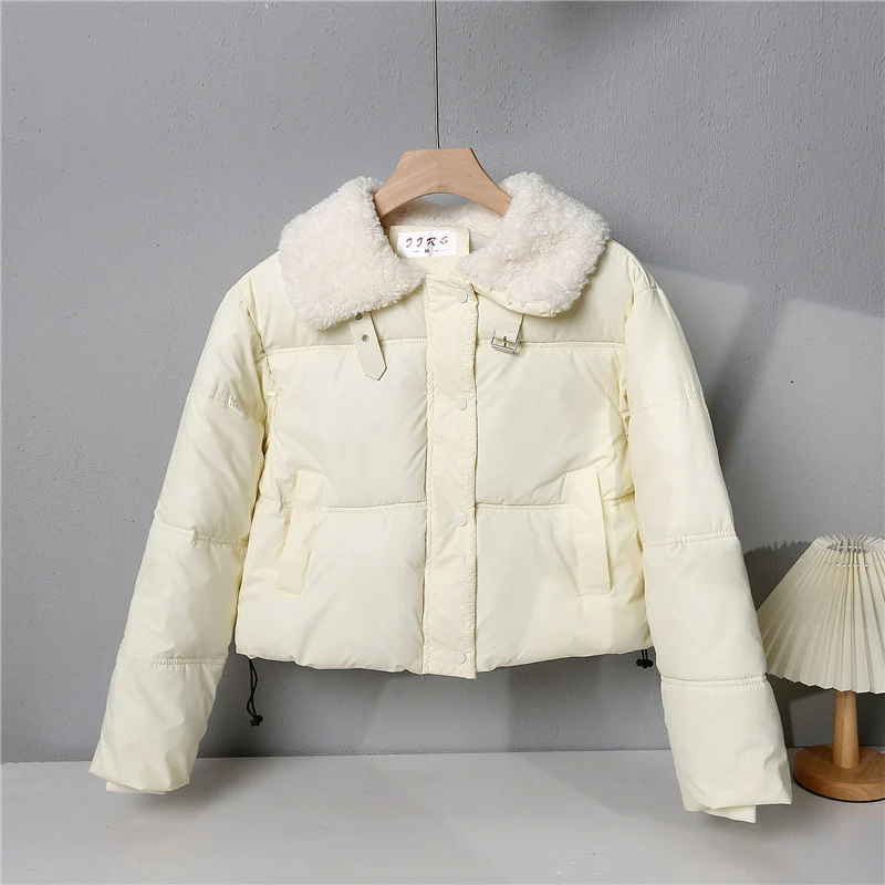 Damen nan kurze gesteppte Winterjacke mit Teddykragen, wattierter Isolierung und verdecktem Druckknopfverschluss Nord Taschen